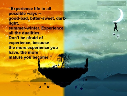 Experience life's duality.jpg